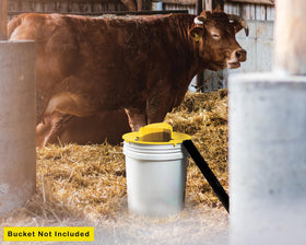 RinneTraps durable plastic trap body stands up to repeated use.