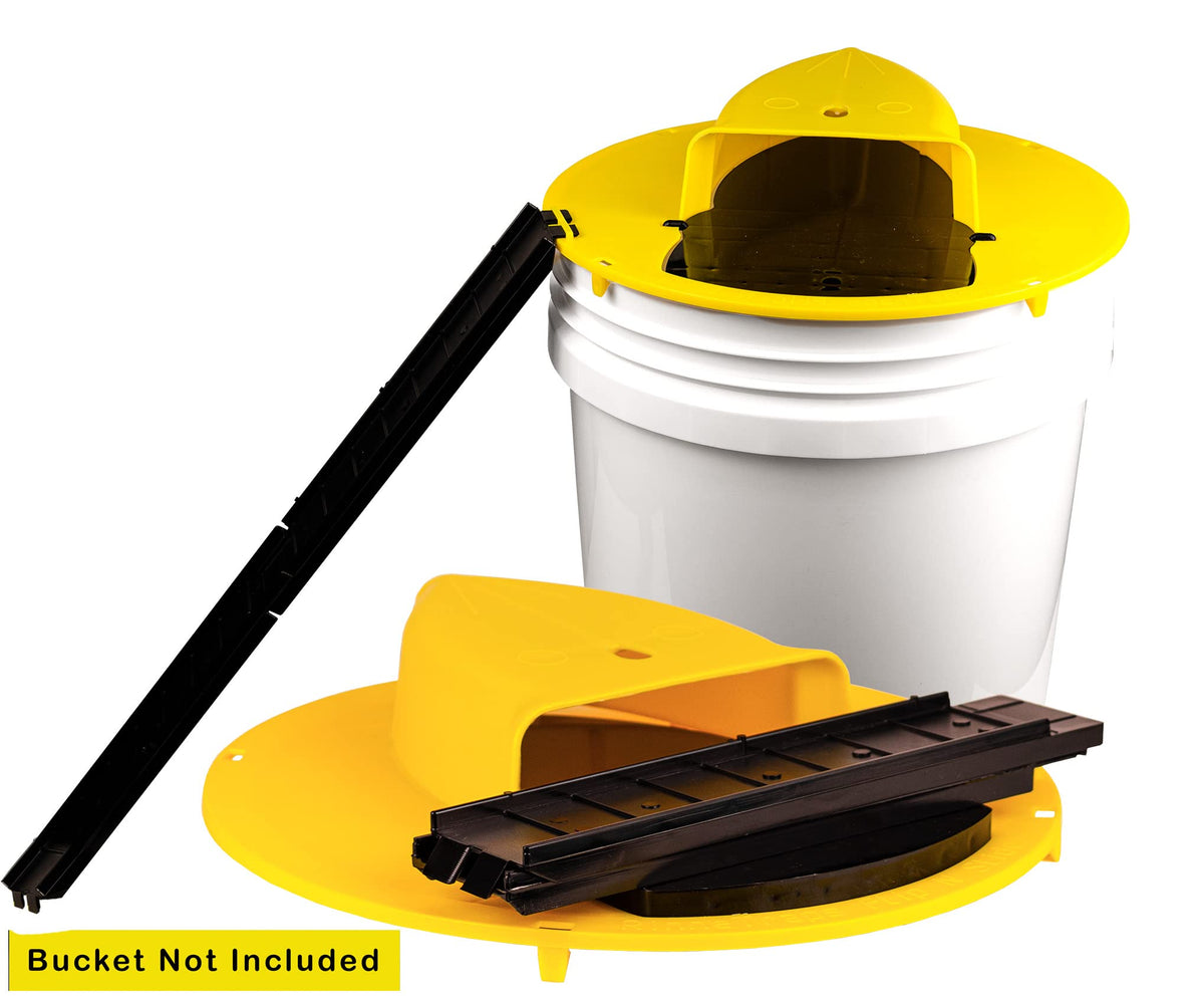 RinneTraps easy-disposal trap scene suggests minimal mess after capture.