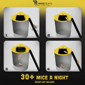 RinneTraps four-pack bucket-lid trap display highlights value and easy setup.
