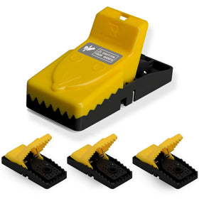 RinneTraps Snap N Trap 4-pack packaging for ongoing home protection.