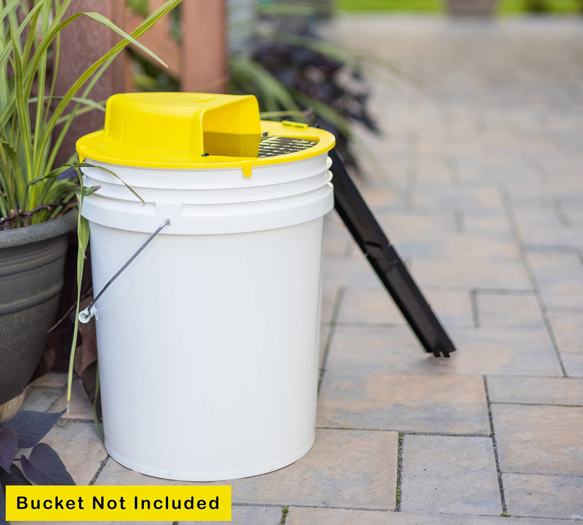 RinneTraps US patent-d1-039-648-s label indicates trusted design.