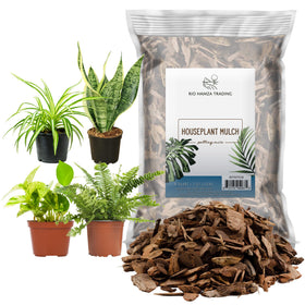 Rio Hamza Houseplant Mulch front view bag showing 8 quarts for visual soil cover