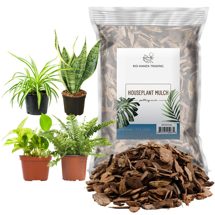 Rio Hamza Houseplant Mulch front view bag showing 8 quarts for visual soil cover
