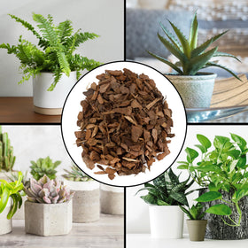 Rio Hamza Houseplant Mulch close-up texture highlights durable bark wood chips