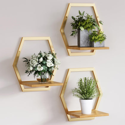 Rioneta 3-pack solid wood wall plant stand arch for sturdy indoor plant display.