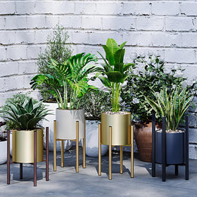 Rioneta adjustable plant stand holds 8–14 inch pots for flexible placement