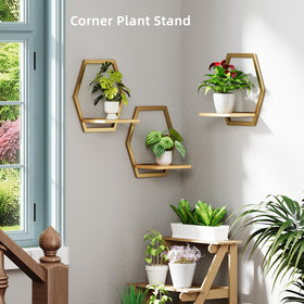 Rioneta entryway wall organization with staggered hexagon shelves