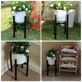 Rioneta flip-height stand lets you choose low or elevated plant positioning.