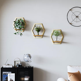 Rioneta heavy-duty metal frame wall stand provides strong support for medium pots.