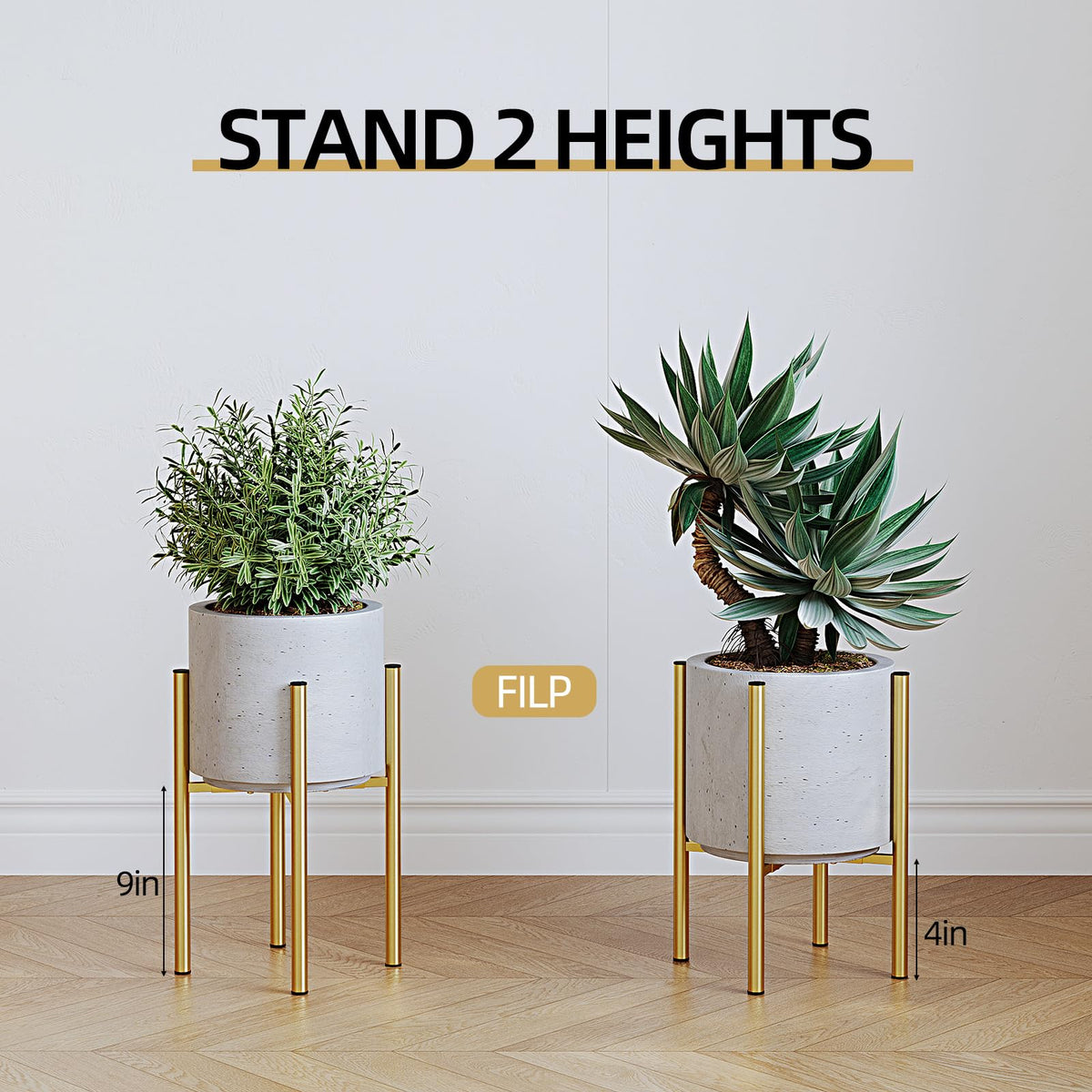 Rioneta round plate design provides stylish balance for plants
