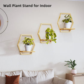 Rioneta solid wood 9-inch shelf showcasing natural grain