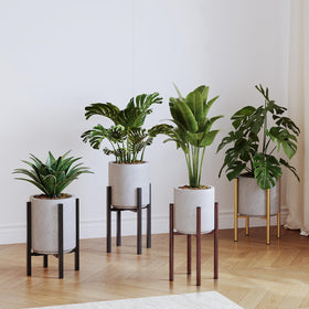 Rioneta versatile plant display for corners, shelves, and decor