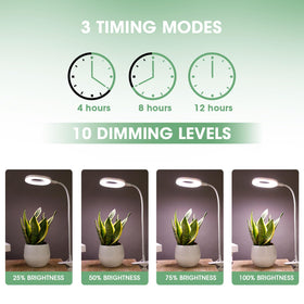 RIRIBEN ten brightness levels provide precise plant illumination control