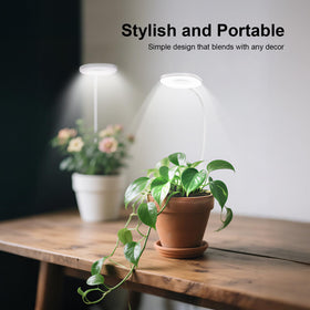 RIRIBEN three fixation options fit pots, desks, and shelves