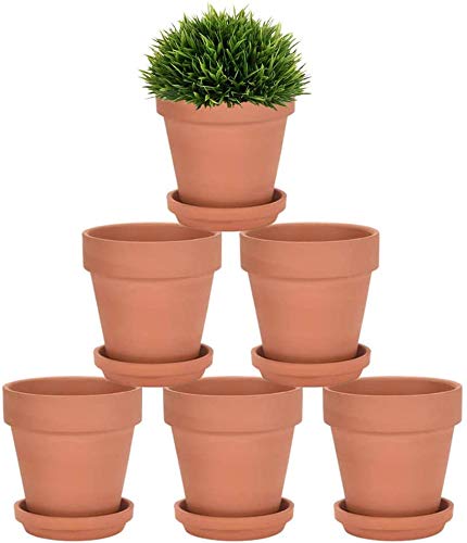 Riseuvo 5 Inch Terra Cotta Pot with Saucer ideal for indoor plant setups