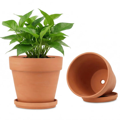 Riseuvo 8-inch terracotta pot with saucer for stable drainage.