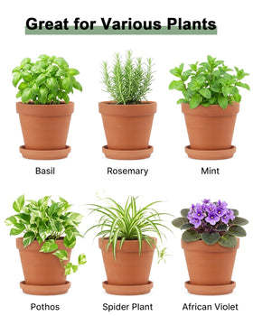 Riseuvo multi-use pots for crafts décor plants and wedding favors