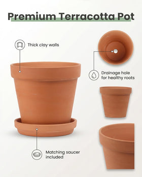 Riseuvo terracotta pot with drainage hole promotes root airflow.