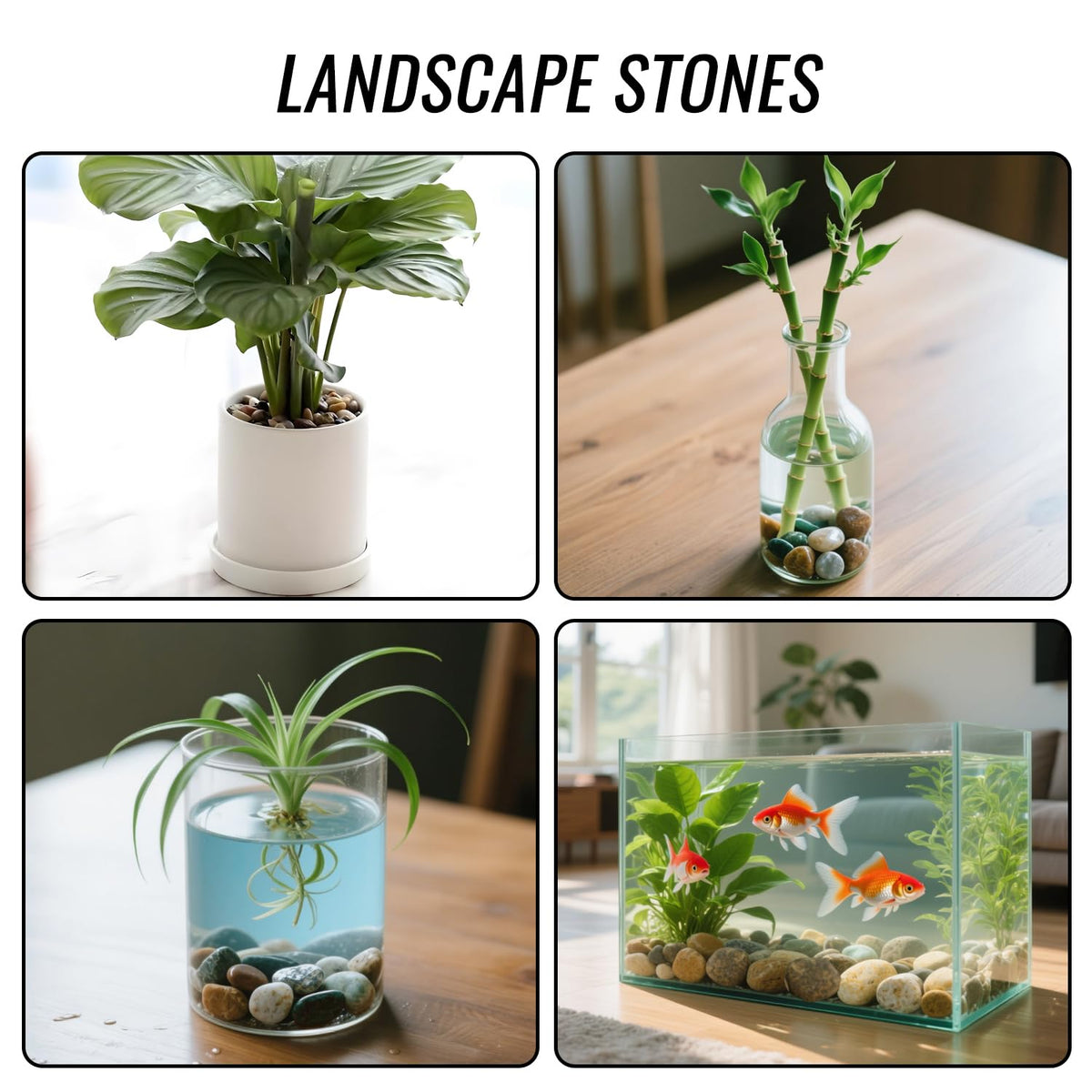 RITOLLO decorative pebbles brighten garden displays, vases, and outdoor spaces.