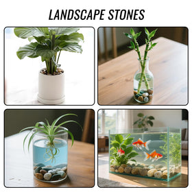 RITOLLO decorative pebbles brighten garden displays, vases, and outdoor spaces.