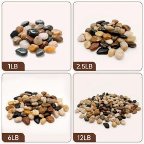 RITOLLO aquarium gravel enhances the fish tank aesthetic while remaining safe for fish.