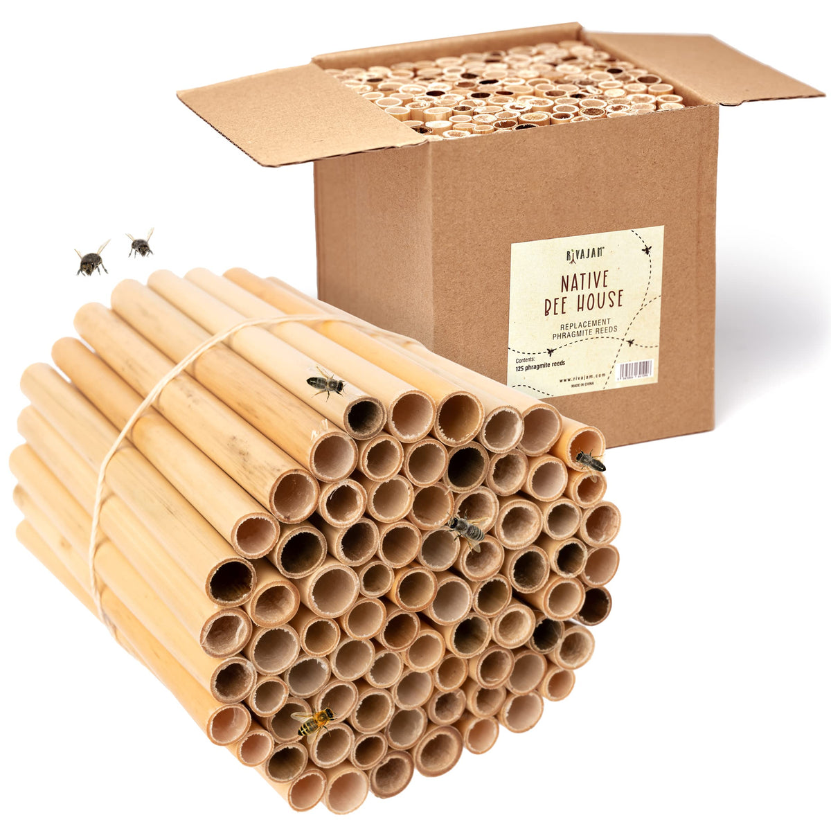 Rivajam 125 phragmite reed tubes refill close-up for nesting bees
