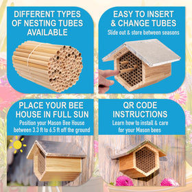 Rivajam Beekeeper Pro Mach II waterproof lacquer helps maintain appearance in all seasons