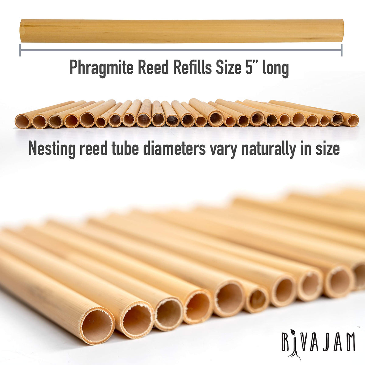 Rivajam phragmite reed tunnels inside a solitary hive for observation