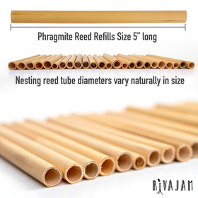 Rivajam phragmite reed tunnels inside a solitary hive for observation