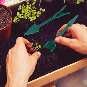 Rivonthex seed dispensers in use reduce waste and clumping.