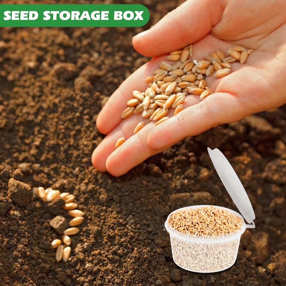 Rivonthex tray test helps set even release before sowing.