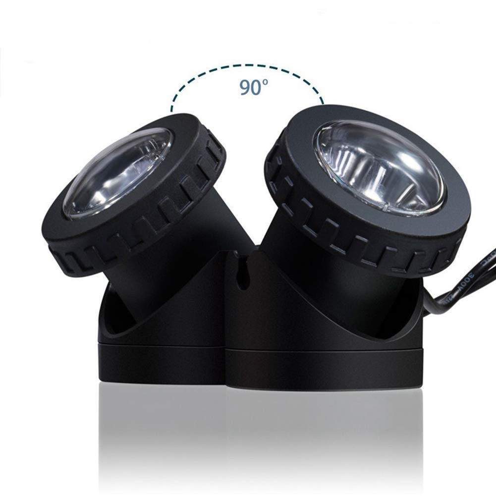 Rivonthex solar spot light garden accents landscape at night