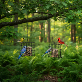 Rivonthex suet feeder accommodates seed blocks to attract different birds.