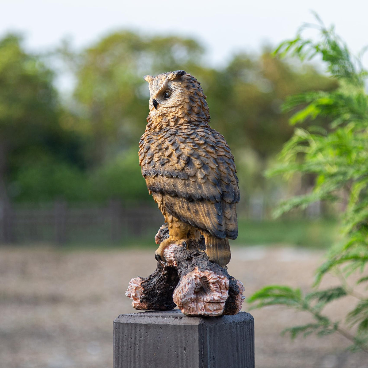 RKGOMDMU indoor-outdoor owl art blends with landscapes and desks.