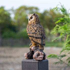 RKGOMDMU indoor-outdoor owl art blends with landscapes and desks.