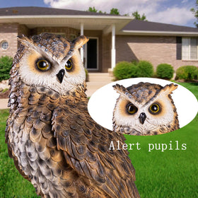 RKGOMDMU weatherproof owl sculpture withstands rain and sun while remaining vivid.