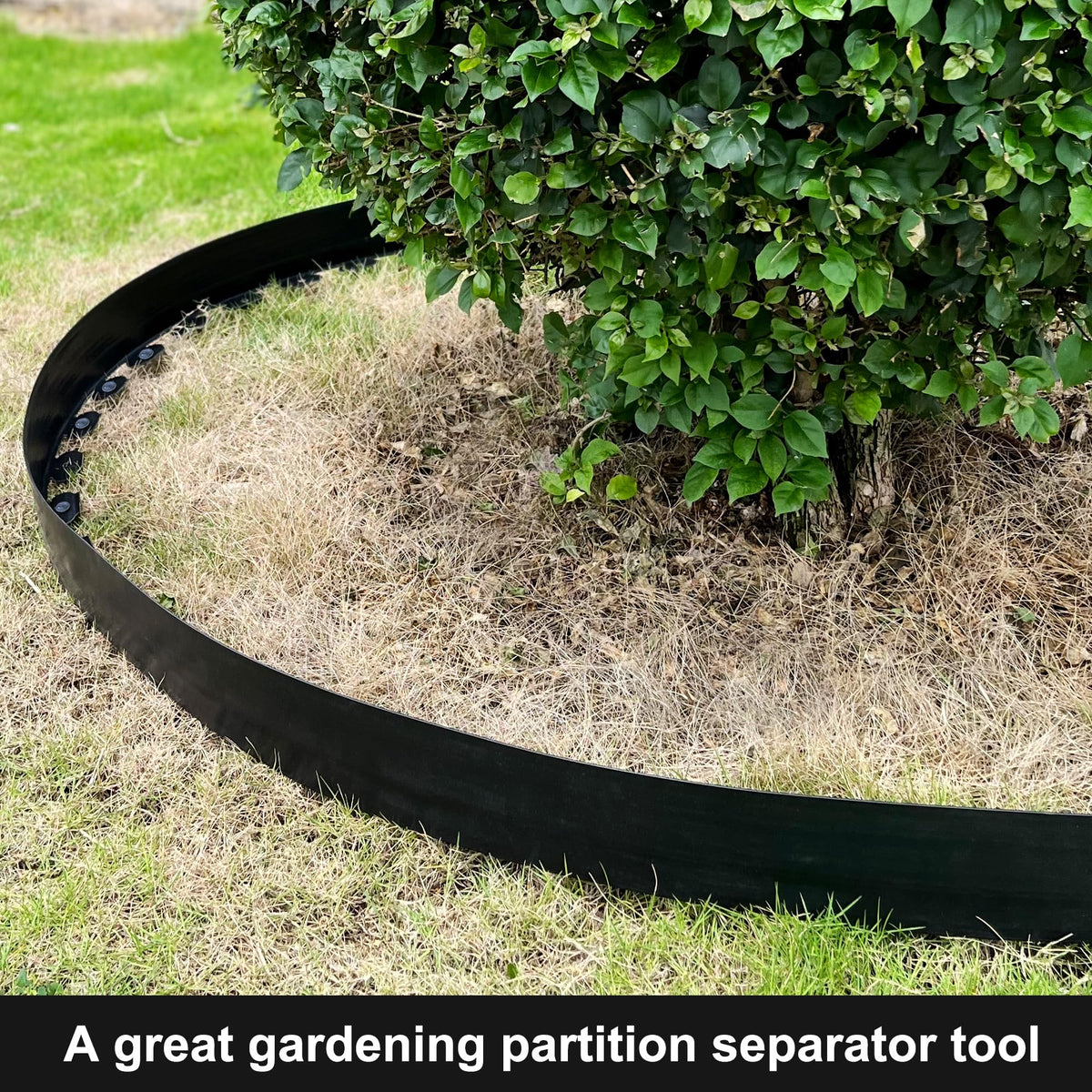 RLINGX tree-ring border being installed around a tree