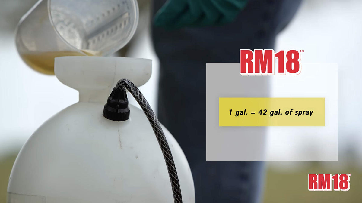 RM18 on driveway edges for a cleaner surface after treatment.