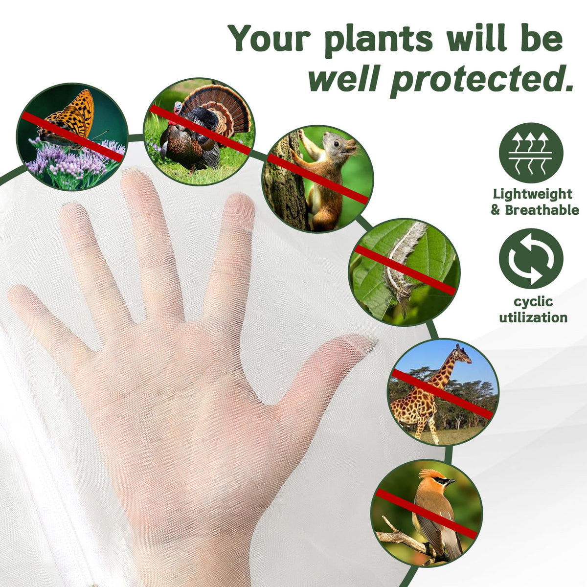 RMBHM 10x10 ft netting allows sunlight, air, and rain to reach trees.