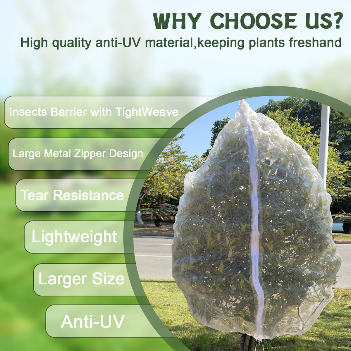 RMBHM lightweight, breathable netting supports healthy fruit growth.