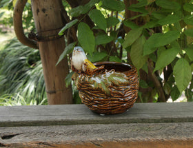 Rmdusk ceramic bird nest pot displays vibrant glaze for small desk plants