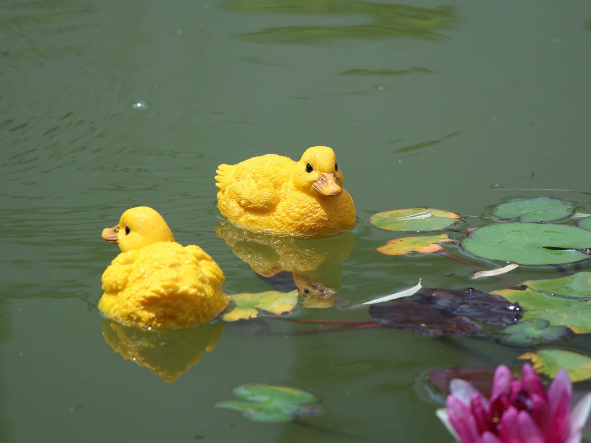 Rmdusk floating resin duck figurine yellow set 2 full view for pond display