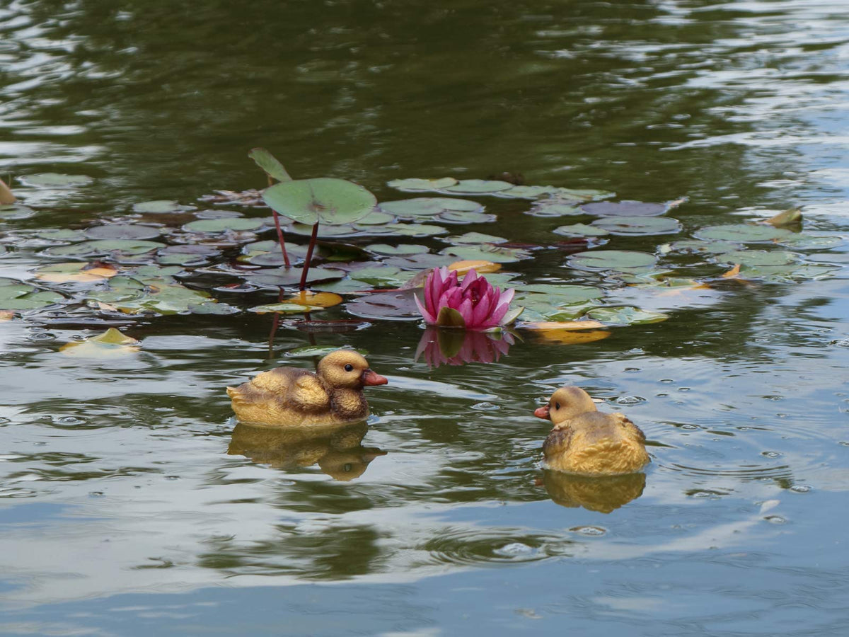 Rmdusk resin duck texture detail highlights lifelike features for realistic pond display.