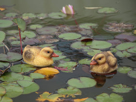 Rmdusk wedding outdoor decor with matching ducks creates charming focal points.
