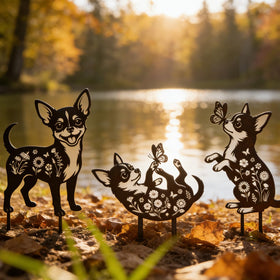 Rngmsi Patio edge Chihuahua stake guides entryways