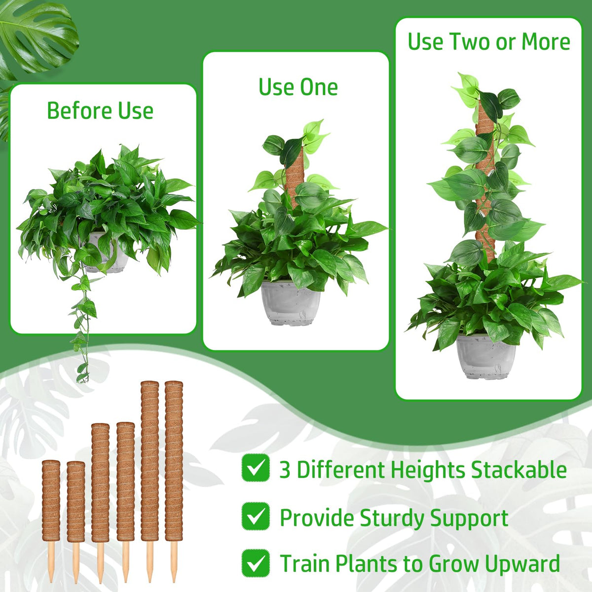 ROADPLUM climbing solution kit supports pothos, philodendron, monstera