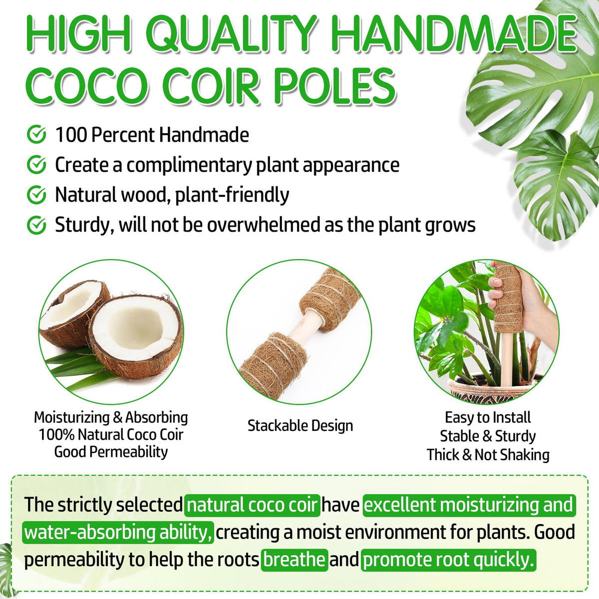 ROADPLUM coco coir pole 12-6in in pot elevates vines