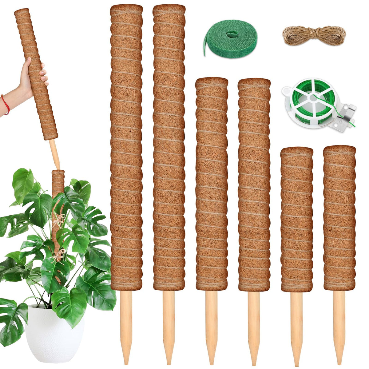 ROADPLUM coco coir pole 21-7in in pot upright support