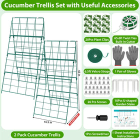 ROADPLUM cucumber trellis assembly guide showing tool-free setup for quick installation.