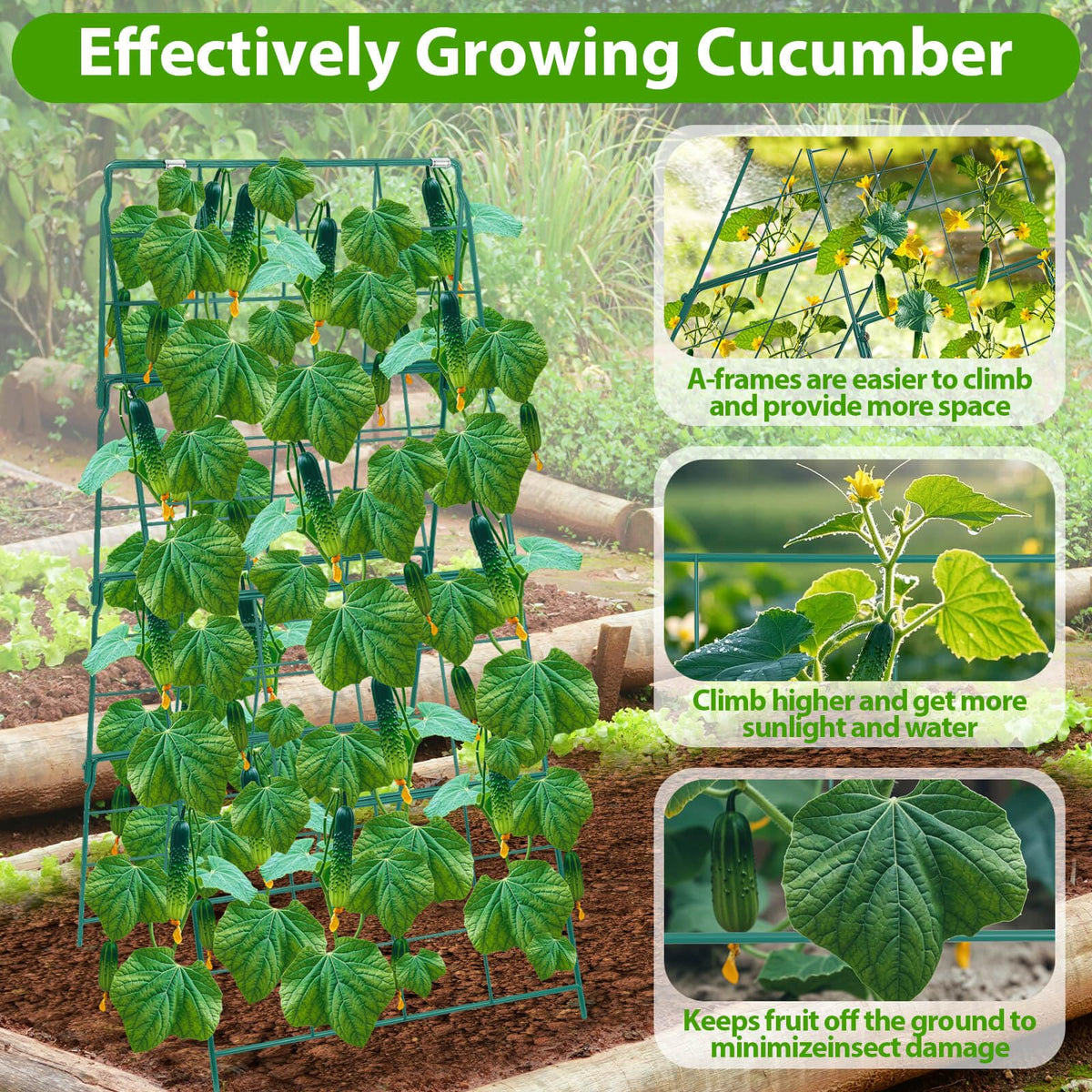 ROADPLUM cucumber trellis foldable design allows easy storage when not in use.